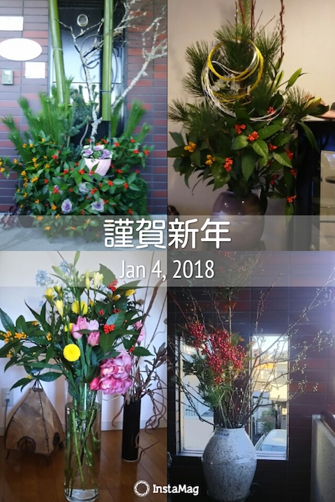 お正月花、満開です！
