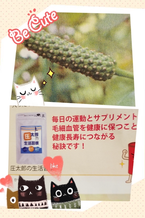 ヒハツでゴースト血管を改善しよう！