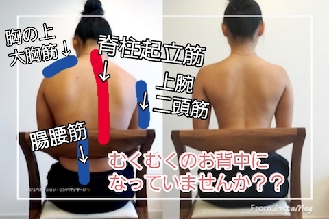 背中が綺麗な人は太りにくい！