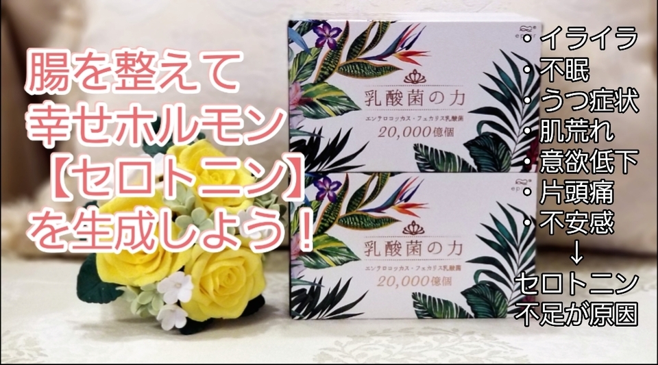 腸を整えて幸せホルモン『セロトニン』を生成しよう！